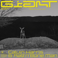 CALVIN HARRIS & RAG'N'BONE MAN, Giant