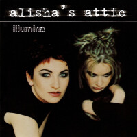 The Incidentals - ALISHA'S ATTIC