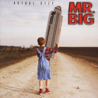 Shine - Mr.Big