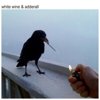 THE CHAINSMOKERS & BEAU NOX - White Wine & Adderall