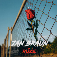 JAN BRAUN, Růže