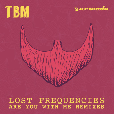 LOST FREQUENCIES - Are You With Me (Harold Van Lennep Piano Edit)