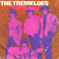 TREMELOES, My Little Lady