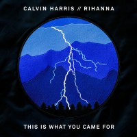 CALVIN HARRIS & RIHANNA - This Is What You Came For