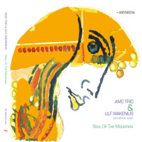 AMC Trio & Ulf Wakenius, Because Of Your Sad Eyes