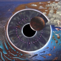 Another Brick In The Wall (Part 2) - Live - PINK FLOYD