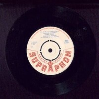 Ztratila Lucinka bačkorku - JINDRA MACHOVÁ