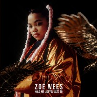 ZOE WEES, Hold Me Like You Used To