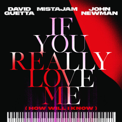 DAVID GUETTA & MISTA JAM & JOHN NEWMAN - If You Really Love Me (How Will I Know)