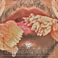 Toro y Moi, Still Sound