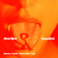 DUA LIPA, Houdini (Danny L Harle Slowride Mix)