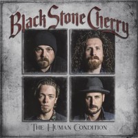 Again - Black Stone Cherry