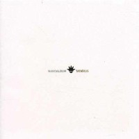 Tata Bojs, Hal se zatoulal