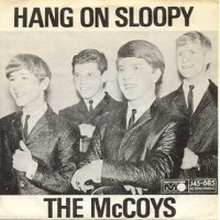 McCOYS, Hang On Sloopy