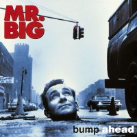 Nothing But Love - Mr.Big