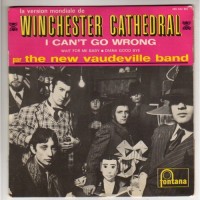 NEW VAUDEVILLE BAND, Winchester Cathedral