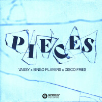 VASSY & BINGO PLAYERS & DISCO FRIES - Pieces
