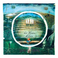 Ptaky, kdyz krouzkujou poustej - LEŠEK SEMELKA