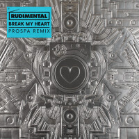 Rudimental - Break My Heart