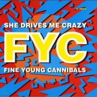 FINE YOUNG CANNIBALS, She Drives Me Crazy