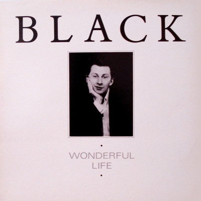 Obrázek BLACK, Wonderful Life