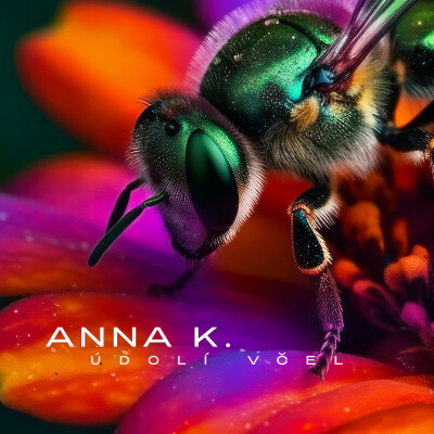 ANNA K. - Údolí včel