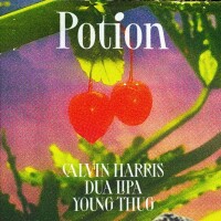 Calvin Harris, Dua Lipa & Young Thug, Potion