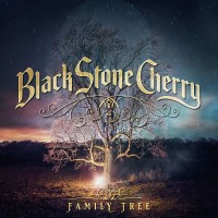 Bad Habit - Black Stone Cherry