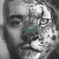DIE FOR ME - ZAYN